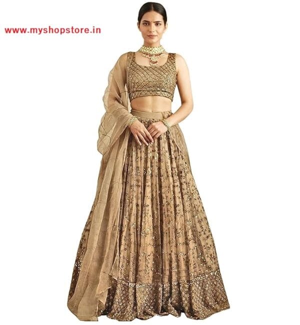 My Store Online - Women Georgette Classy Look Lahanga Choli 2025